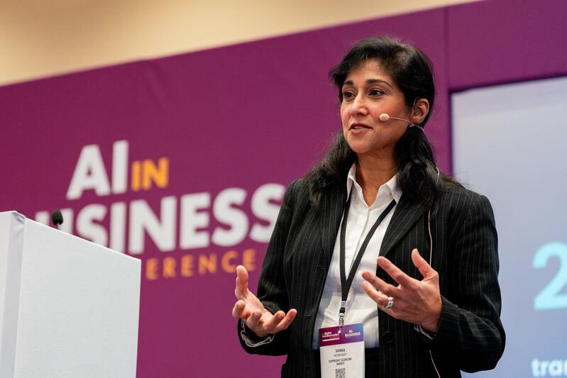 Speaker presenting in 2025 conference